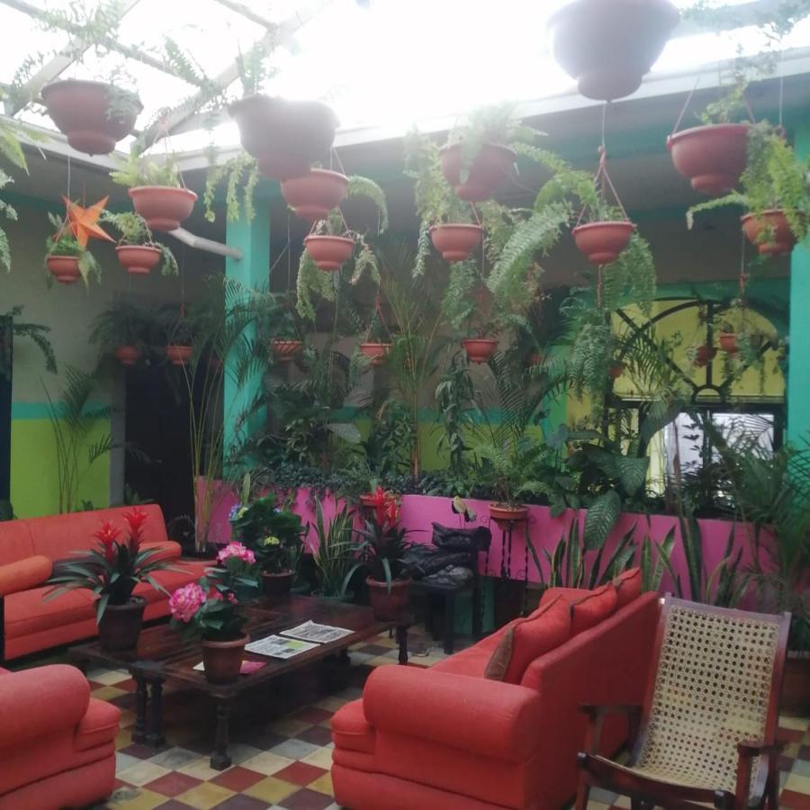 Hotel Kasa Kamelot Central Quetzaltenango Exteriör bild